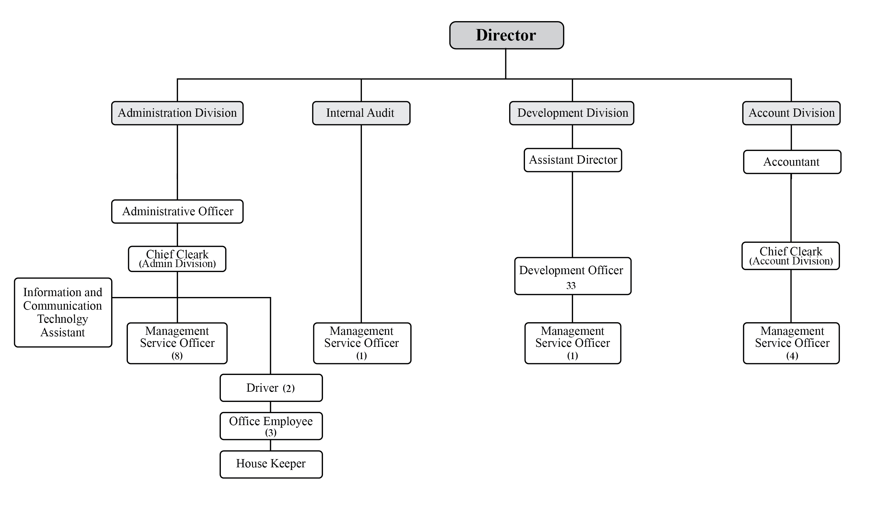Organizational Chart